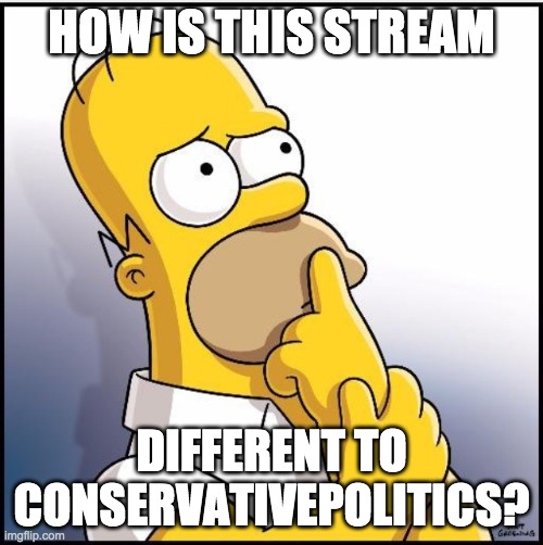 I am new here | HOW IS THIS STREAM; DIFFERENT TO CONSERVATIVEPOLITICS? | image tagged in thinking homer,memes,politics,conservatives | made w/ Imgflip meme maker