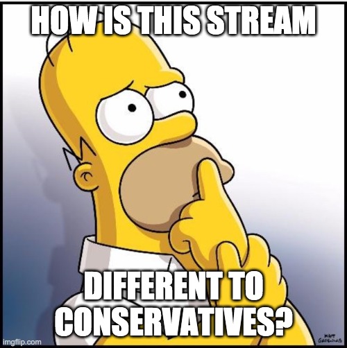 I am new here |  HOW IS THIS STREAM; DIFFERENT TO CONSERVATIVES? | image tagged in thinking homer,memes,politics,conservatives | made w/ Imgflip meme maker