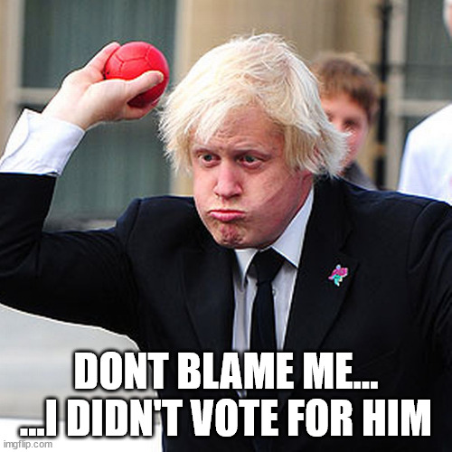 Boris the bozo | DONT BLAME ME...
...I DIDN'T VOTE FOR HIM | image tagged in boris johnson | made w/ Imgflip meme maker