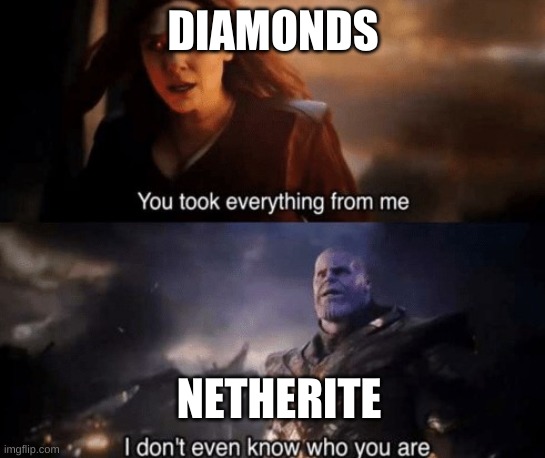 you took everything from me | DIAMONDS NETHERITE | image tagged in you took everything from me | made w/ Imgflip meme maker