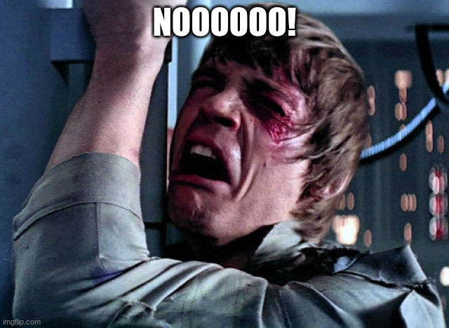 Nooo | NOOOOOO! | image tagged in nooo | made w/ Imgflip meme maker