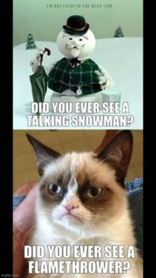 image tagged in grumpy cat christmas | made w/ Imgflip meme maker
