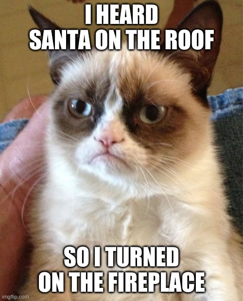 Grumpy Cat | I HEARD SANTA ON THE ROOF; SO I TURNED ON THE FIREPLACE | image tagged in memes,grumpy cat | made w/ Imgflip meme maker