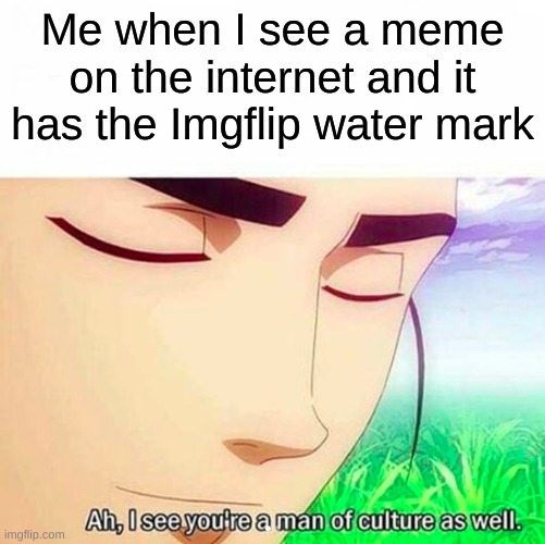 Man of culture, I see. | Me when I see a meme on the internet and it has the Imgflip water mark | image tagged in ah i see you are a man of culture as well | made w/ Imgflip meme maker