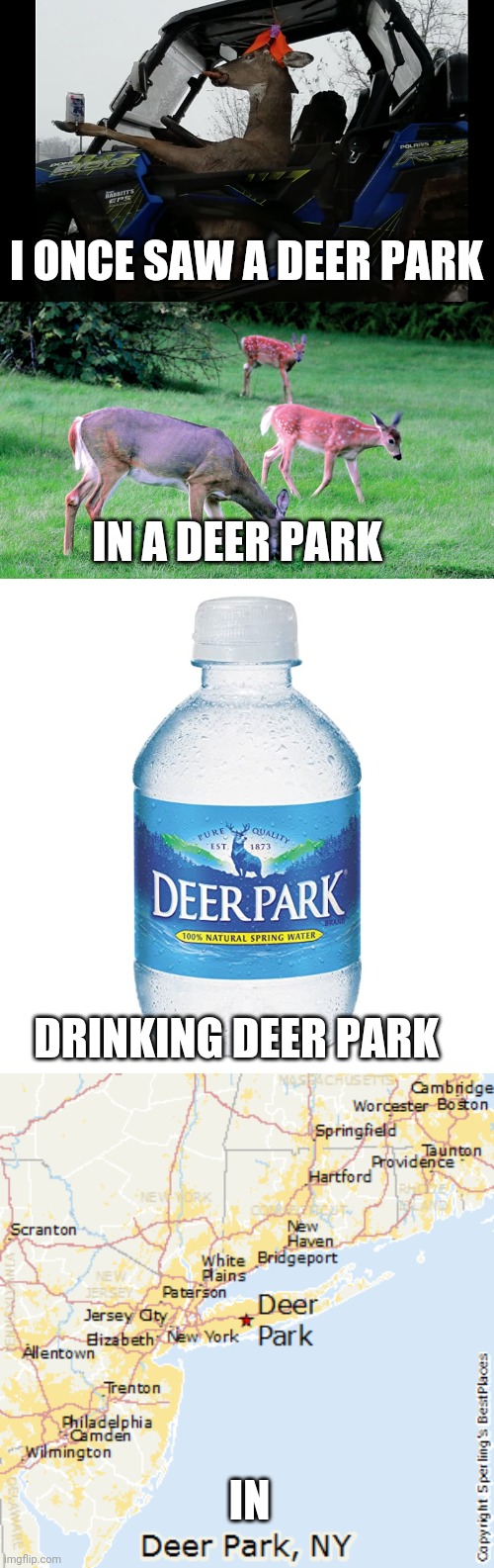 I ONCE SAW A DEER PARK; IN A DEER PARK; DRINKING DEER PARK; IN | image tagged in deer | made w/ Imgflip meme maker