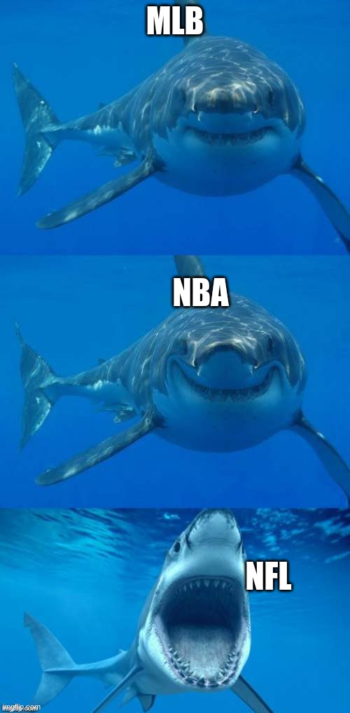 Bad Shark Pun  | MLB; NBA; NFL | image tagged in bad shark pun | made w/ Imgflip meme maker