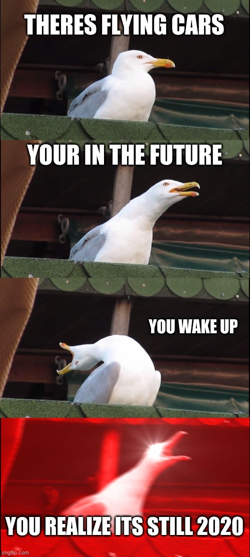 2020 | THERES FLYING CARS; YOUR IN THE FUTURE; YOU WAKE UP; YOU REALIZE ITS STILL 2020 | image tagged in memes,inhaling seagull | made w/ Imgflip meme maker