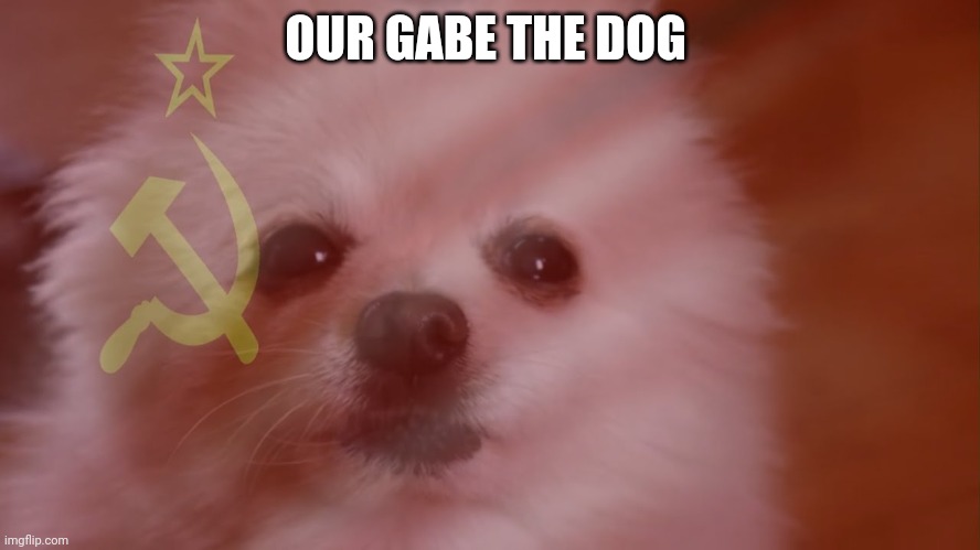 OUR GABE THE DOG | made w/ Imgflip meme maker