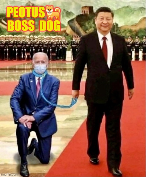 What's up Big Dog? #MadeinChina #NoMoJoe | PEOTUS🐕
BOSS  DOG | image tagged in peotus boss dog,joe biden,made in china,potus,china,the great awakening | made w/ Imgflip meme maker