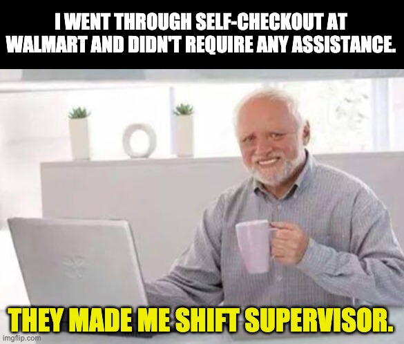 Walmart | I WENT THROUGH SELF-CHECKOUT AT WALMART AND DIDN'T REQUIRE ANY ASSISTANCE. THEY MADE ME SHIFT SUPERVISOR. | image tagged in harold | made w/ Imgflip meme maker