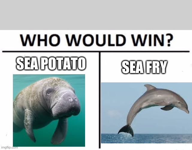 Who Would Win? Meme | SEA POTATO; SEA FRY | image tagged in memes,who would win | made w/ Imgflip meme maker
