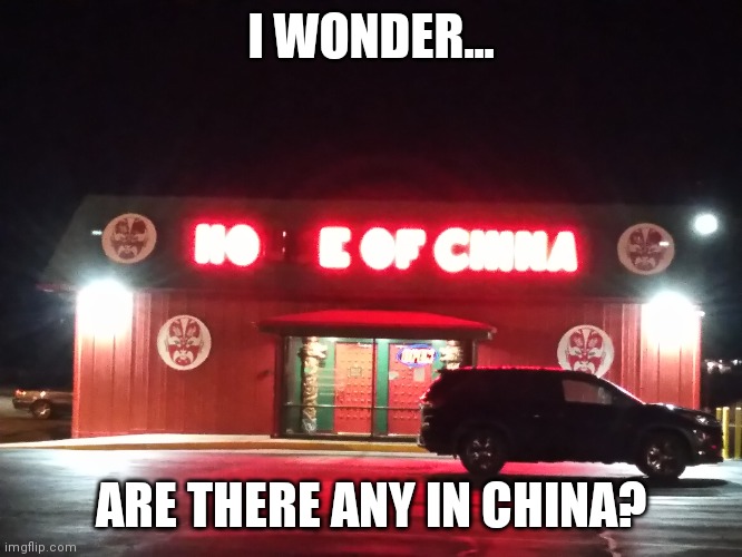 Cool neon sign fail | I WONDER... ARE THERE ANY IN CHINA? | image tagged in memes | made w/ Imgflip meme maker
