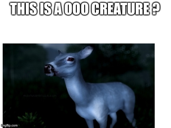 Deer | THIS IS A OOO CREATURE ? | image tagged in deer | made w/ Imgflip meme maker