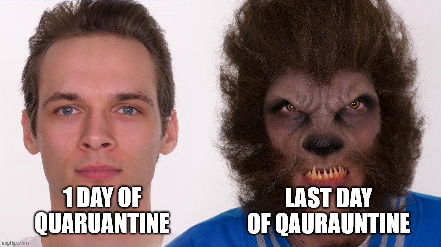 quarantine | LAST DAY OF QAURAUNTINE; 1 DAY OF QUARUANTINE | image tagged in wolfman makeup,wolfman,quarantine | made w/ Imgflip meme maker