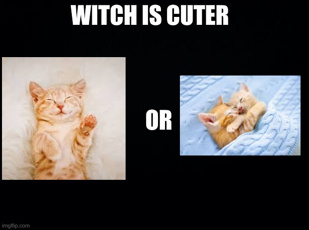 cats | WITCH IS CUTER; OR | image tagged in black background | made w/ Imgflip meme maker