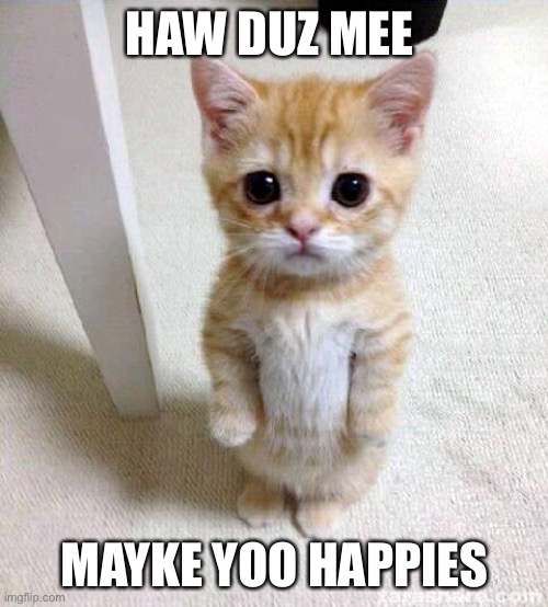 Cute Cat Meme | HAW DUZ MEE MAYKE YOO HAPPIES | image tagged in memes,cute cat | made w/ Imgflip meme maker