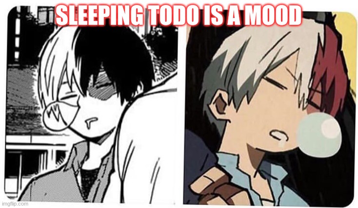Todo is a mood | SLEEPING TODO IS A MOOD | image tagged in todoroki,cute,my hero academia | made w/ Imgflip meme maker