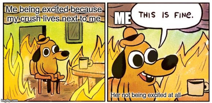 Yay... | Me being excited because my crush lives next to me; ME; Her not being excited at all | image tagged in memes,this is fine | made w/ Imgflip meme maker