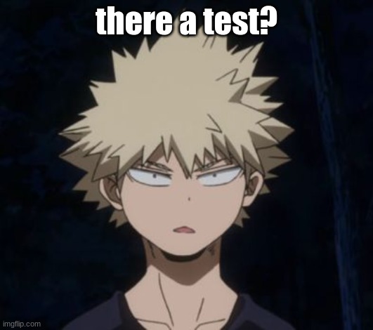 Bakugo's Huh? | there a test? | image tagged in bakugo's huh | made w/ Imgflip meme maker