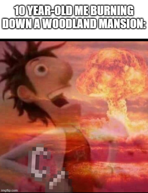 B U R N | 10 YEAR-OLD ME BURNING DOWN A WOODLAND MANSION: | image tagged in mushroomcloudy | made w/ Imgflip meme maker