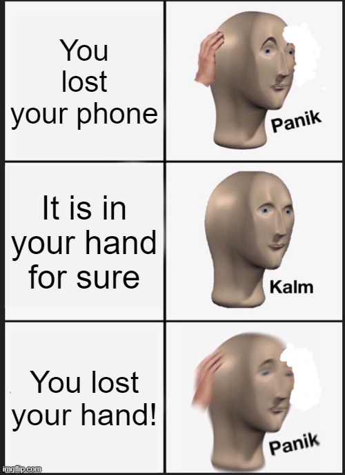 I think is a good meme. | You lost your phone; It is in your hand for sure; You lost your hand! | image tagged in memes,panik kalm panik | made w/ Imgflip meme maker