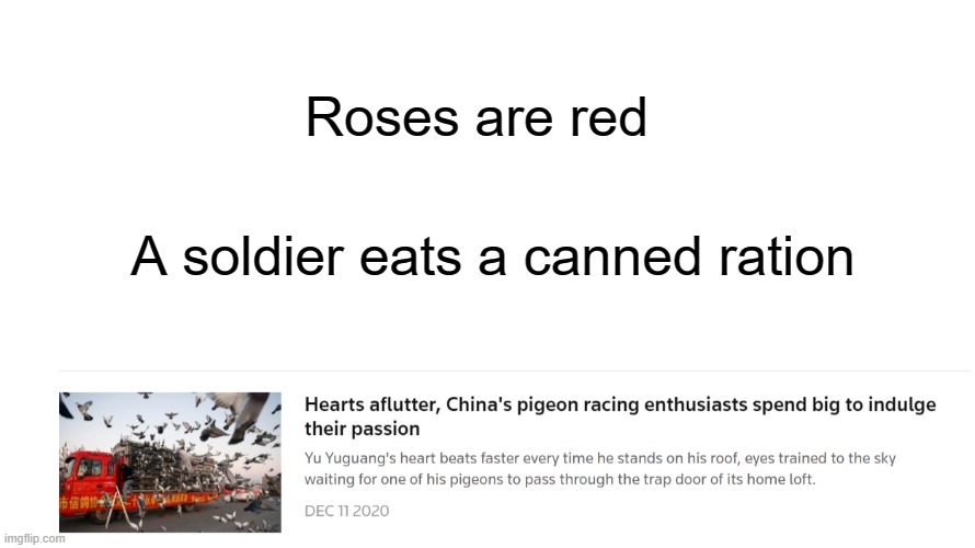guys, wanna race pigeons? it will be fun i promise | Roses are red; A soldier eats a canned ration | image tagged in memes,funny,roses are red,pigeons,oh wow are you actually reading these tags | made w/ Imgflip meme maker