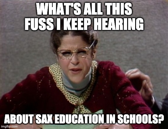 Emily Litella | WHAT'S ALL THIS FUSS I KEEP HEARING; ABOUT SAX EDUCATION IN SCHOOLS? | image tagged in emily litella | made w/ Imgflip meme maker