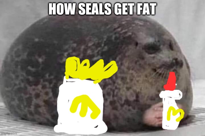 How seals get fat | HOW SEALS GET FAT | image tagged in fat seal with interlocked hands | made w/ Imgflip meme maker