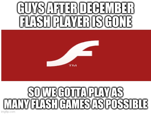 Blank White Template | GUYS AFTER DECEMBER FLASH PLAYER IS GONE; SO WE GOTTA PLAY AS MANY FLASH GAMES AS POSSIBLE | image tagged in blank white template | made w/ Imgflip meme maker