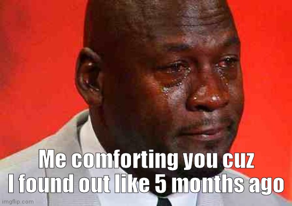 crying michael jordan | Me comforting you cuz I found out like 5 months ago | image tagged in crying michael jordan | made w/ Imgflip meme maker