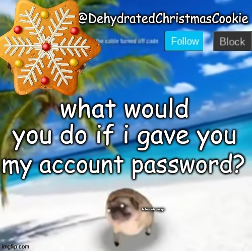 *insert relevant title here* | what would you do if i gave you; my account password? haha cute puggo | image tagged in image tags | made w/ Imgflip meme maker