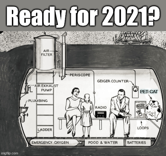 Gearing up for 2021 which will be worse than 2020. | Ready for 2021? PET CAT | image tagged in political meme | made w/ Imgflip meme maker