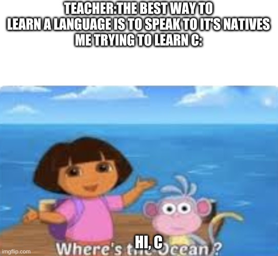 Dora DumDum | TEACHER:THE BEST WAY TO LEARN A LANGUAGE IS TO SPEAK TO IT'S NATIVES
ME TRYING TO LEARN C:; HI, C | image tagged in dora dumdum | made w/ Imgflip meme maker