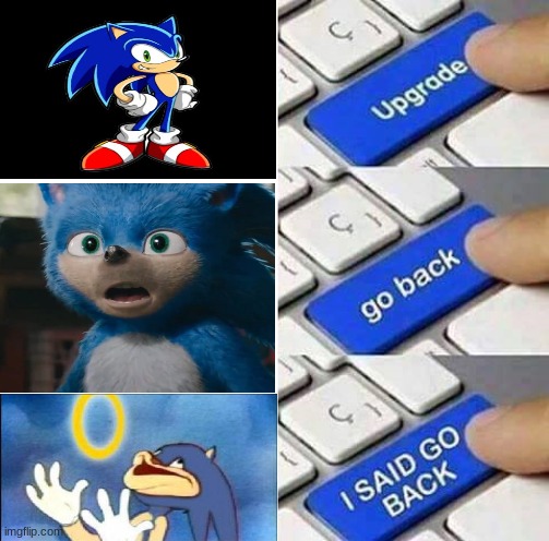 Soon the next "Sonic Movie" will look like this. | image tagged in i said go back | made w/ Imgflip meme maker