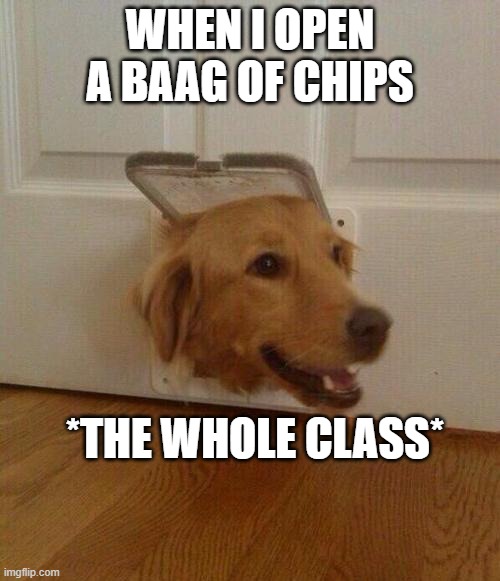 Dog door | WHEN I OPEN A BAAG OF CHIPS; *THE WHOLE CLASS* | image tagged in dog door | made w/ Imgflip meme maker