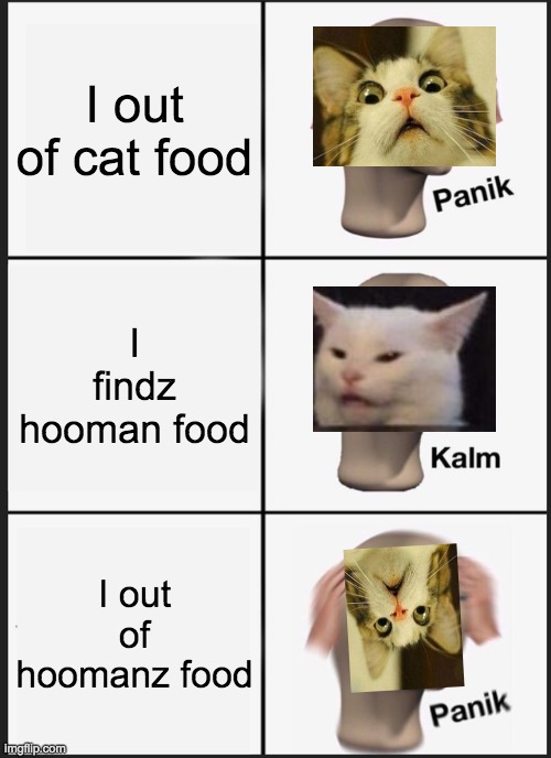 Cat Panik Kalm Panik | I out of cat food; I findz hooman food; I out of hoomanz food | image tagged in memes,panik kalm panik | made w/ Imgflip meme maker