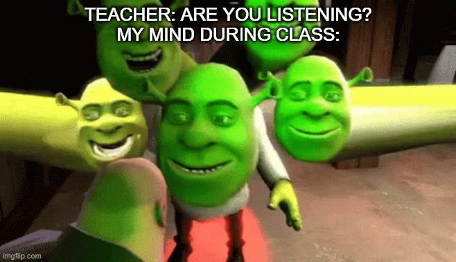 MY MIND IS SHREKY | TEACHER: ARE YOU LISTENING?
MY MIND DURING CLASS: | image tagged in memes | made w/ Imgflip meme maker
