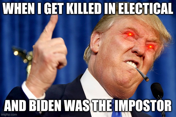 Donald Trump | WHEN I GET KILLED IN ELECTICAL; AND BIDEN WAS THE IMPOSTOR | image tagged in donald trump | made w/ Imgflip meme maker