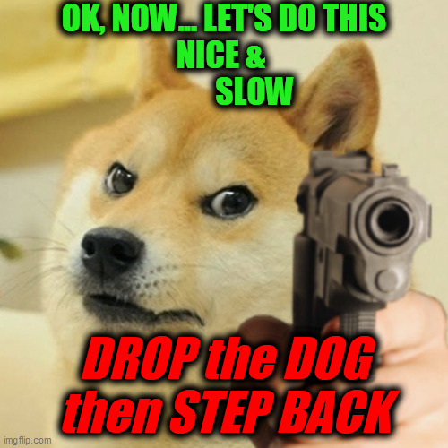 Doge holding a gun | OK, NOW... LET'S DO THIS
NICE & 
          SLOW DROP the DOG
then STEP BACK | image tagged in doge holding a gun | made w/ Imgflip meme maker