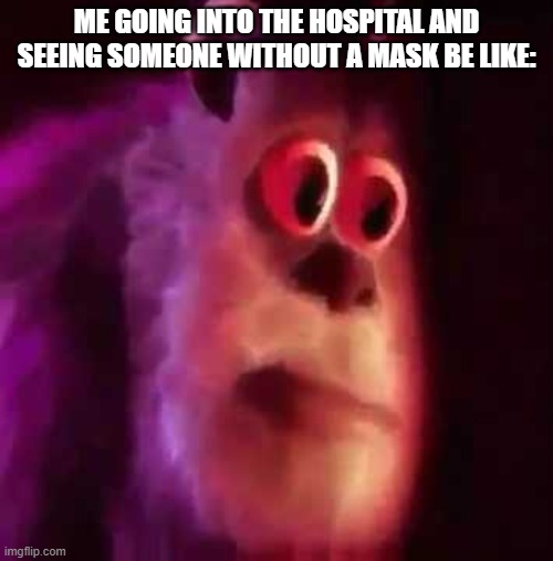 I feel like I just saw someone naked | ME GOING INTO THE HOSPITAL AND SEEING SOMEONE WITHOUT A MASK BE LIKE: | image tagged in sully groan,kitty,boo | made w/ Imgflip meme maker