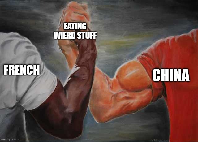 Arm wrestling meme template | EATING WIERD STUFF; CHINA; FRENCH | image tagged in arm wrestling meme template | made w/ Imgflip meme maker