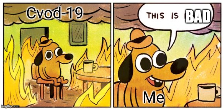 This Is Fine | BAD; Cvod-19; Me | image tagged in memes,this is fine | made w/ Imgflip meme maker
