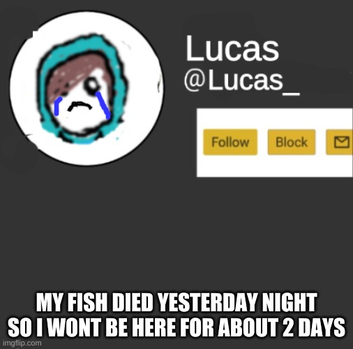 Lucas | MY FISH DIED YESTERDAY NIGHT SO I WONT BE HERE FOR ABOUT 2 DAYS | image tagged in lucas | made w/ Imgflip meme maker