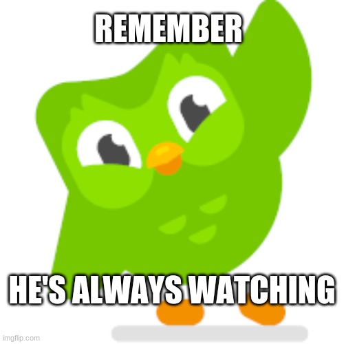 REMEMBER; HE'S ALWAYS WATCHING | image tagged in owl,duolingo bird | made w/ Imgflip meme maker