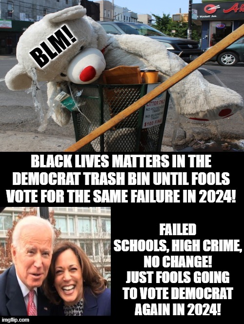 BLM Trash Can! | FAILED SCHOOLS, HIGH CRIME, NO CHANGE! JUST FOOLS GOING TO VOTE DEMOCRAT AGAIN IN 2024! | image tagged in blm | made w/ Imgflip meme maker
