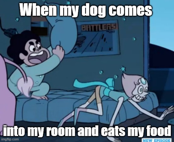Steven Universe | When my dog comes; into my room and eats my food | image tagged in steven universe | made w/ Imgflip meme maker