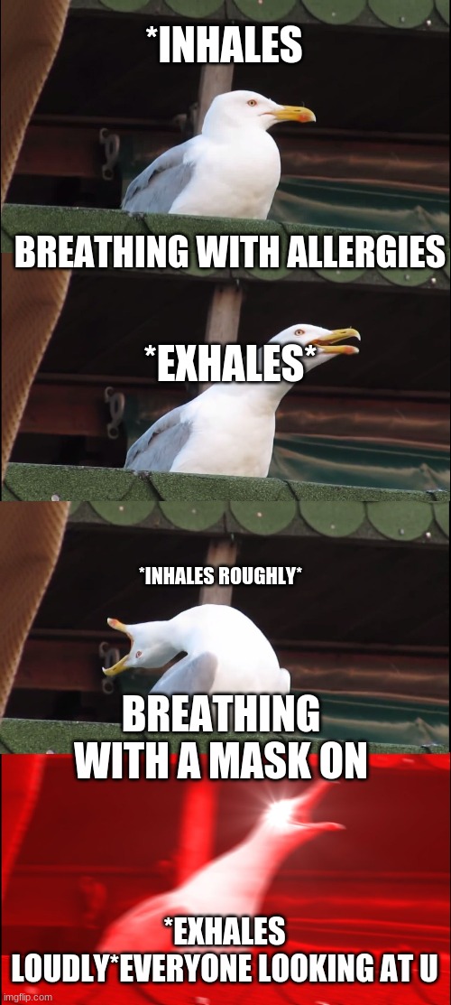 Inhaling Seagull | *INHALES; BREATHING WITH ALLERGIES; *EXHALES*; *INHALES ROUGHLY*; BREATHING WITH A MASK ON; *EXHALES LOUDLY*EVERYONE LOOKING AT U | image tagged in memes,inhaling seagull | made w/ Imgflip meme maker