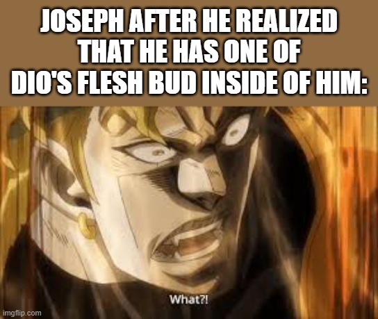 only jjba fans will understand | JOSEPH AFTER HE REALIZED THAT HE HAS ONE OF DIO'S FLESH BUD INSIDE OF HIM: | image tagged in dio what | made w/ Imgflip meme maker