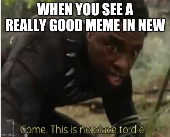 Come this is no place to die | WHEN YOU SEE A REALLY GOOD MEME IN NEW | image tagged in come this is no place to die | made w/ Imgflip meme maker