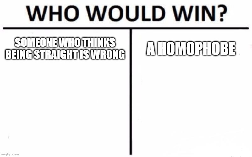 Bruh -_- | SOMEONE WHO THINKS BEING STRAIGHT IS WRONG; A HOMOPHOBE | image tagged in memes,who would win | made w/ Imgflip meme maker